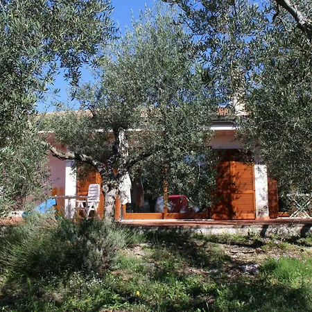 Villa Erika *